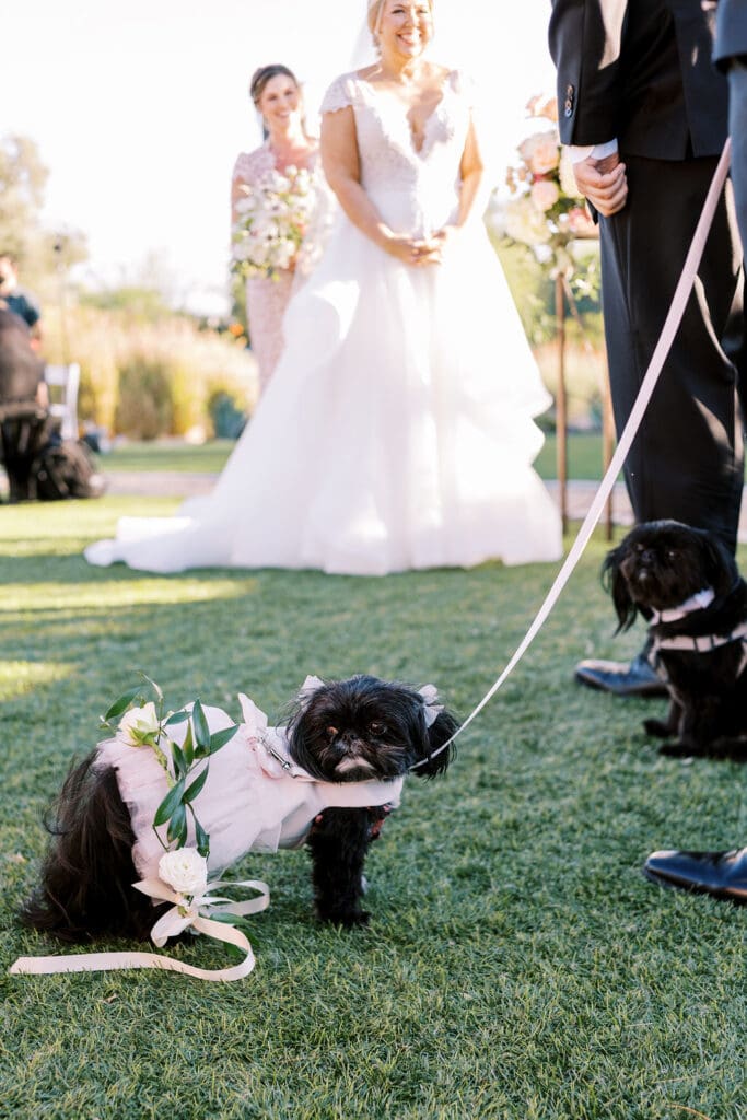 Andaz Scottsdale Wedding Photographer