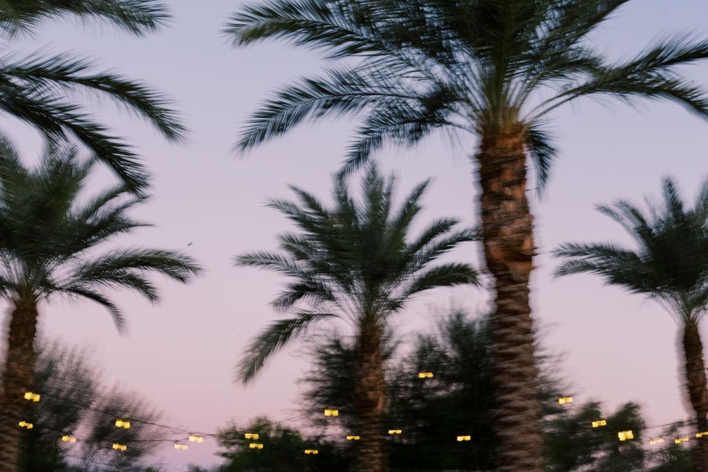 Bride and Groom at their Andaz Scottsdale Wedding, Arizona Wedding Photographer