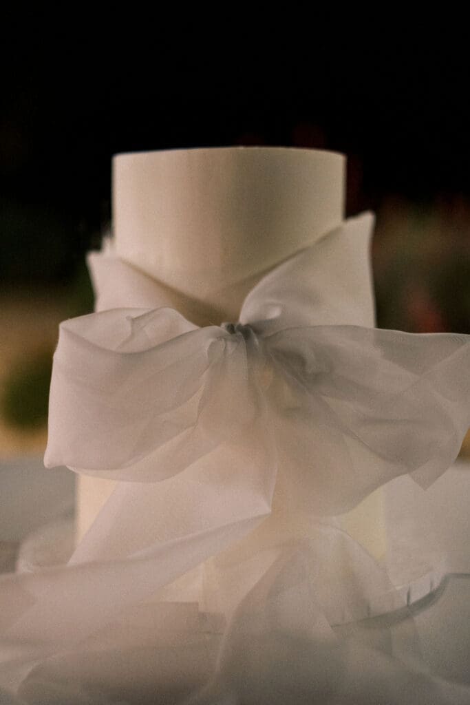 Reception Photos at Desert Mountain Wedding - Arizona Wedding Photographer