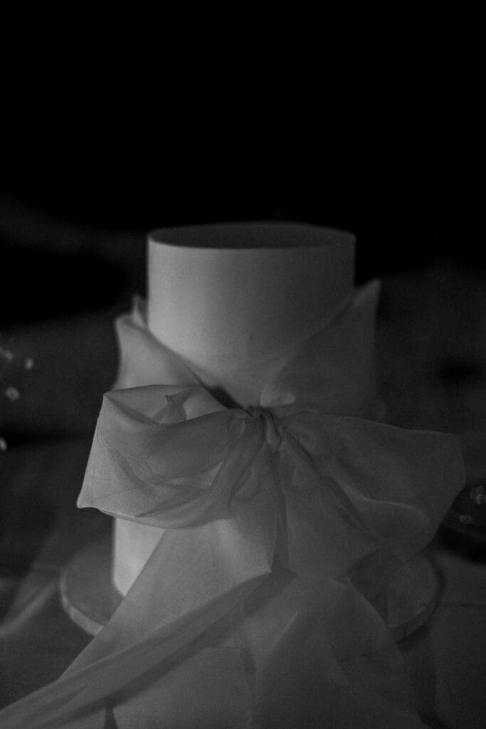 Reception Photos at Desert Mountain Wedding - Arizona Wedding Photographer