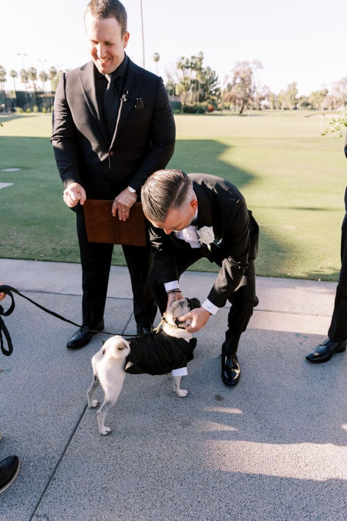 Arizona Wedding Photographer