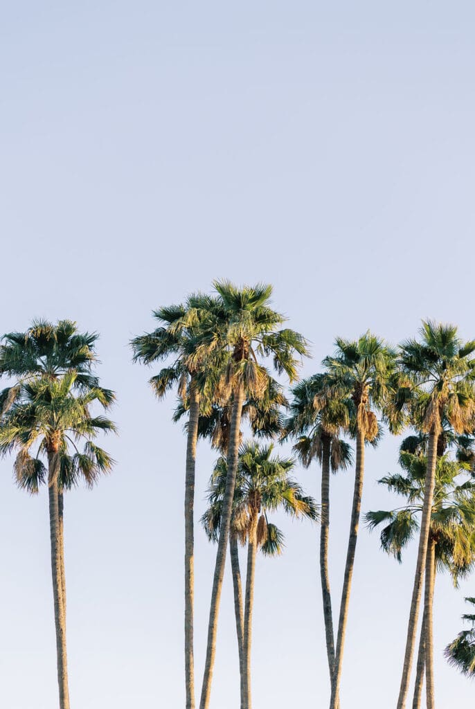 Arizona Wedding Photographer