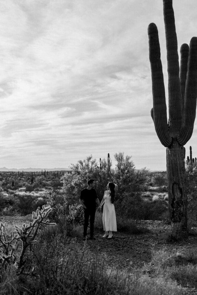 desert phoenix engagement session