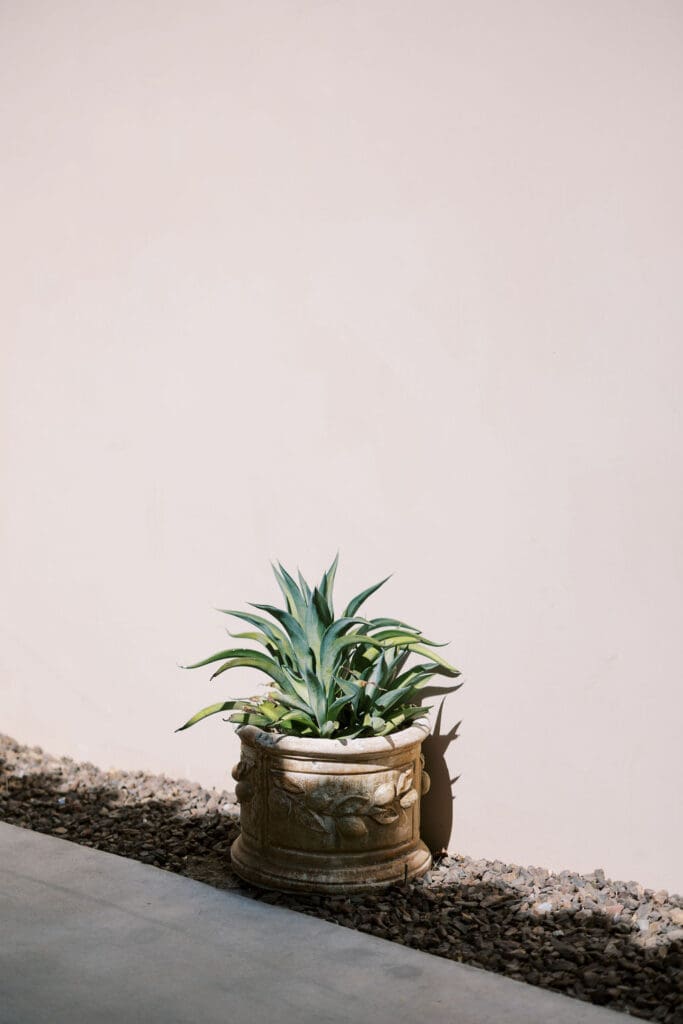 Secret Garden Phoenix Wedding Photographer