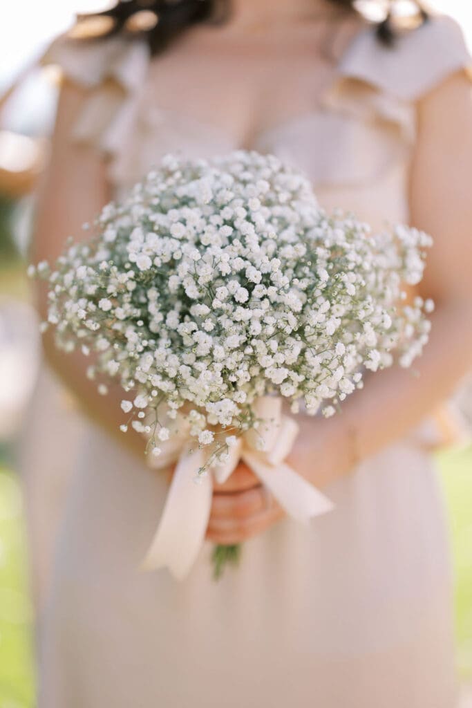 Bridal Party Photos Secret Garden Phoenix Wedding Photographer
