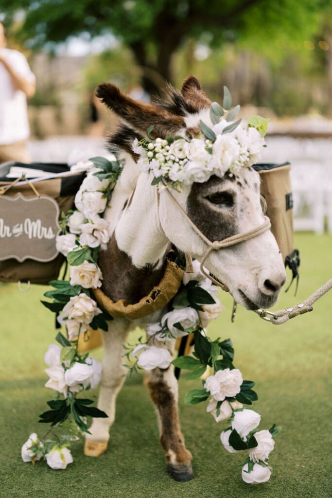 Secret Garden Phoenix Wedding Photographer