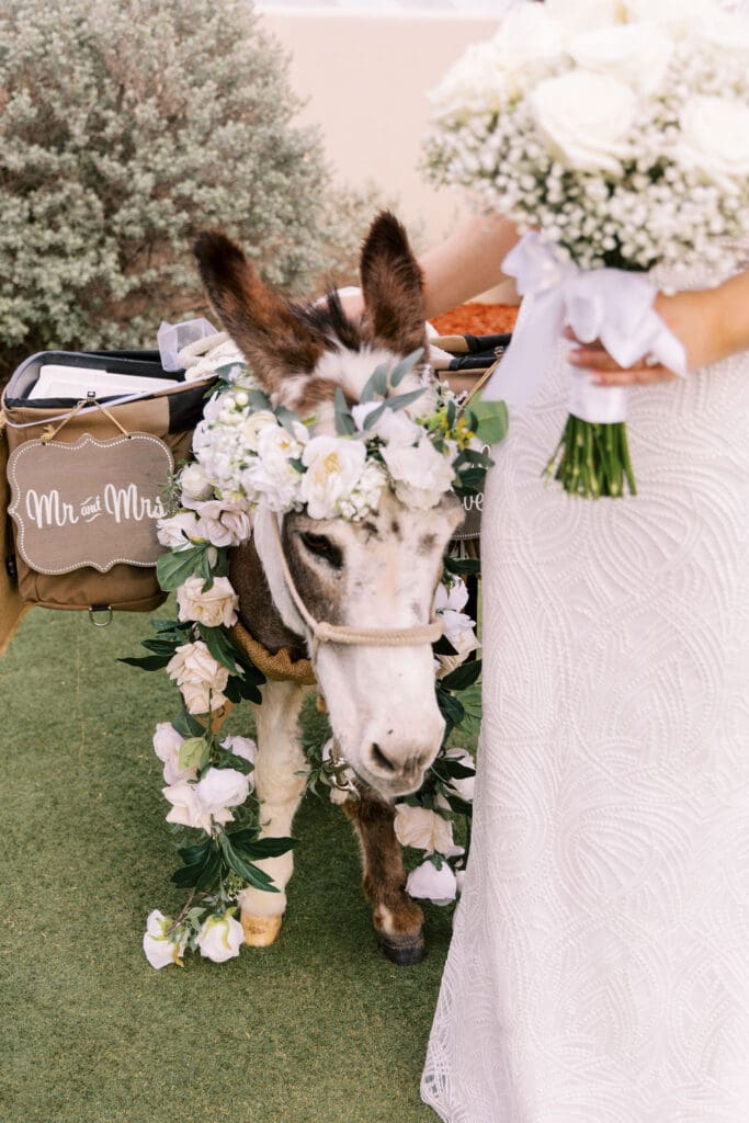 Secret Garden Phoenix Wedding Photographer