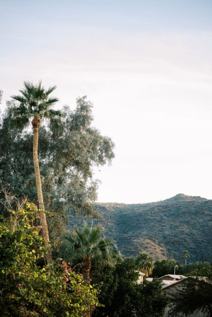 secretgarden wedding phoenix - arizona wedding photographer