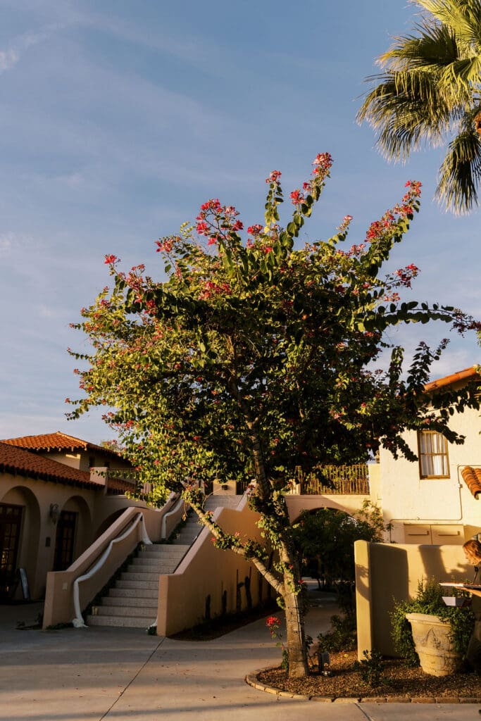 secretgarden wedding phoenix - arizona wedding photographer