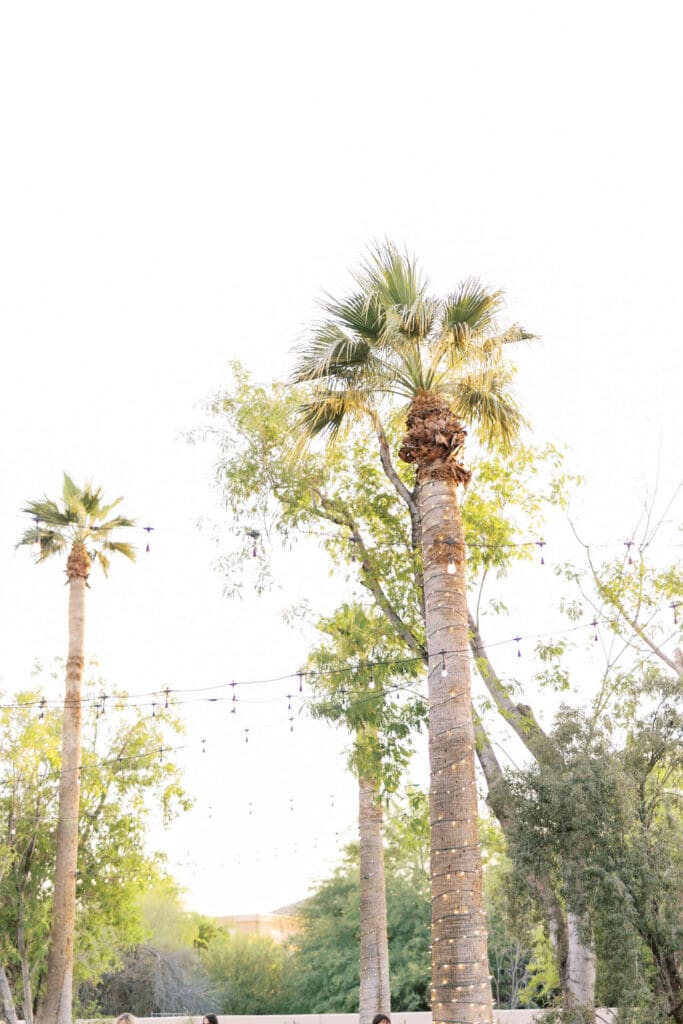 Bride and Groom photos at a Secret Garden Wedding in Phoenix