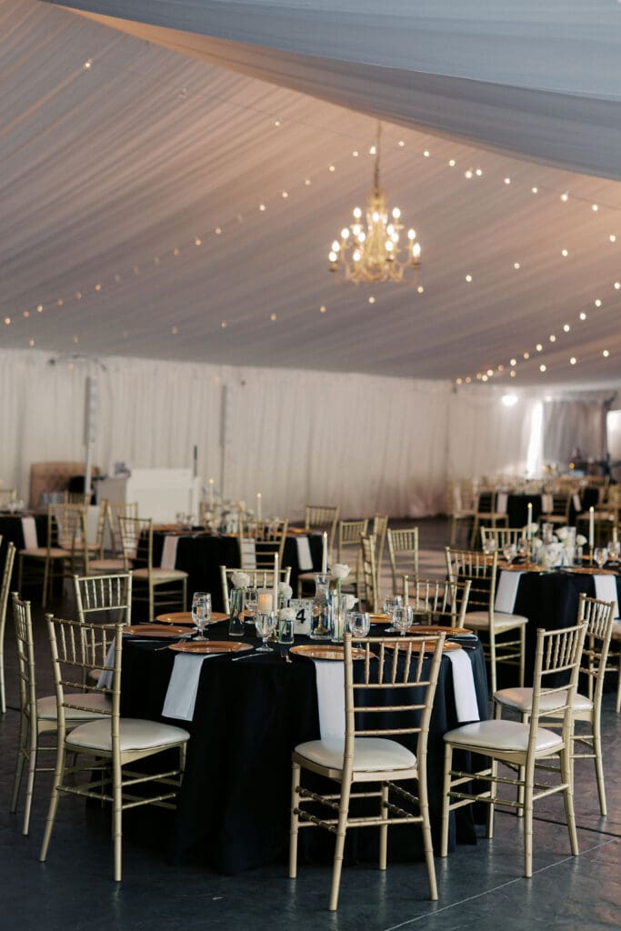 Reception photos Stonebridge Manor wedding, Arizona wedding photographer