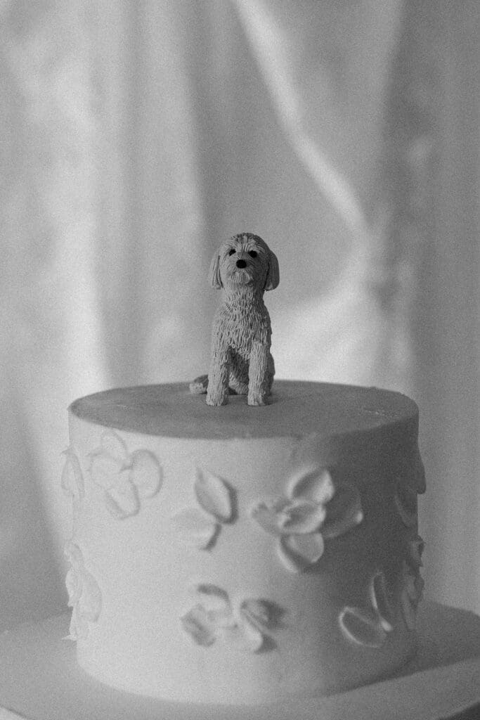 Reception photos Stonebridge Manor wedding, Arizona wedding photographer