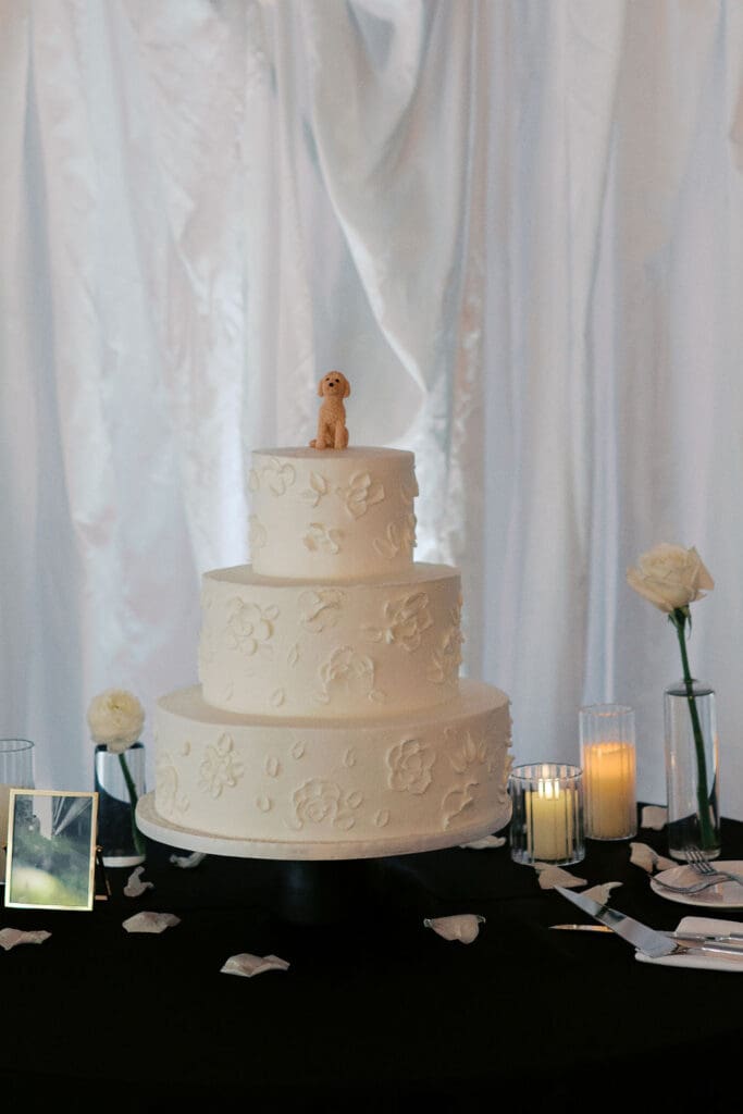 Reception photos Stonebridge Manor wedding, Arizona wedding photographer