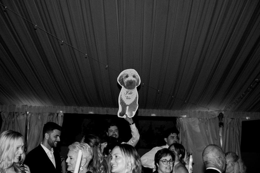 Reception photos Stonebridge Manor wedding, Arizona wedding photographer