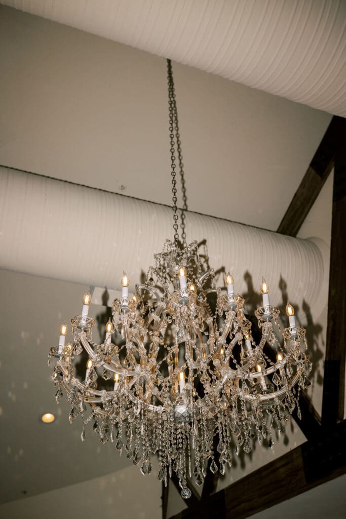 Reception photos at Wrigley mansion wedding, Phoenix Wedding Photographer